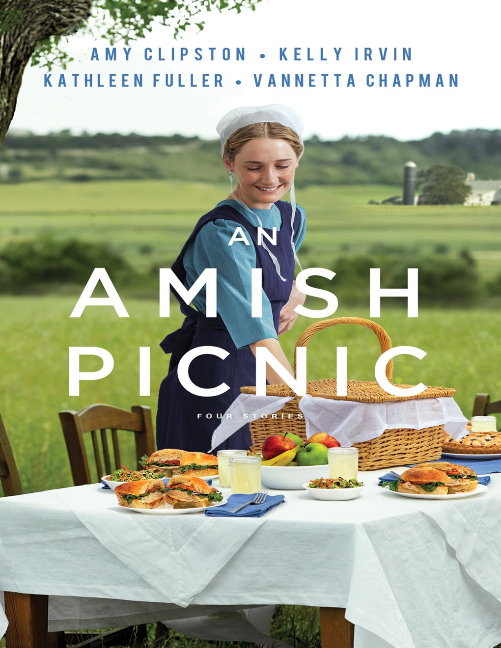 Cover of An Amish Picnic