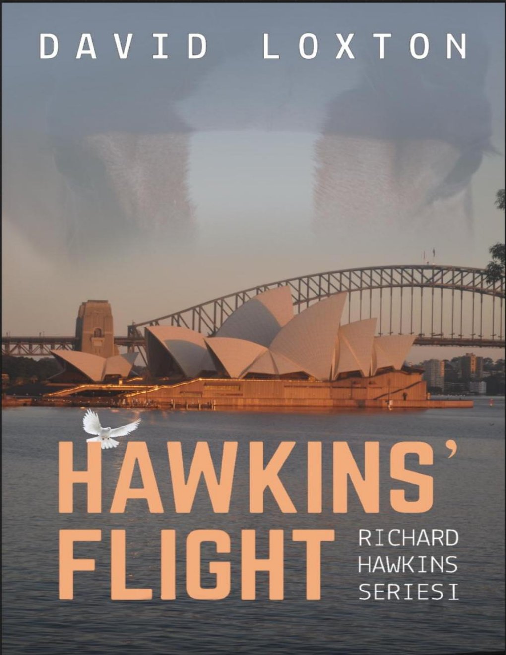 Cover of Hawkins' Flight