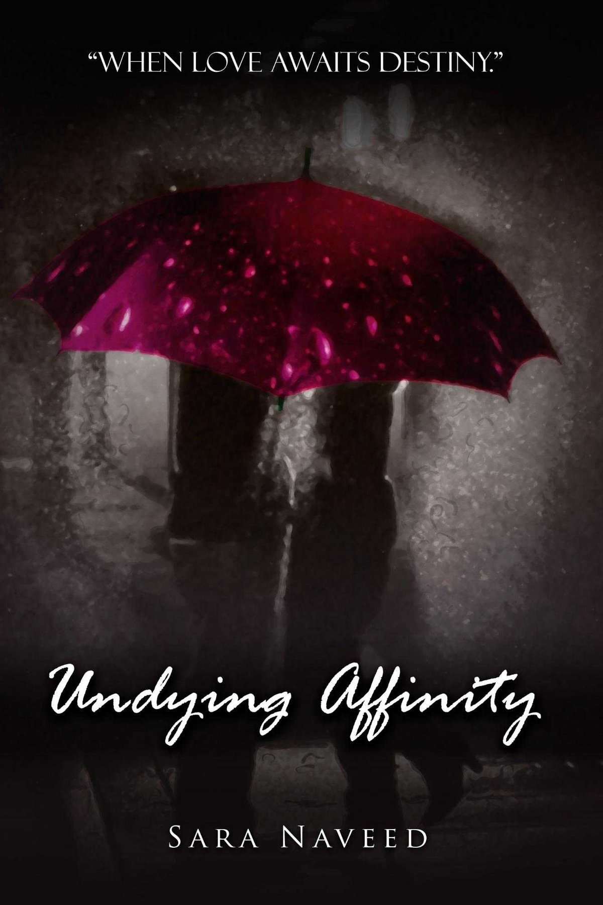 Cover of Undying Affinity