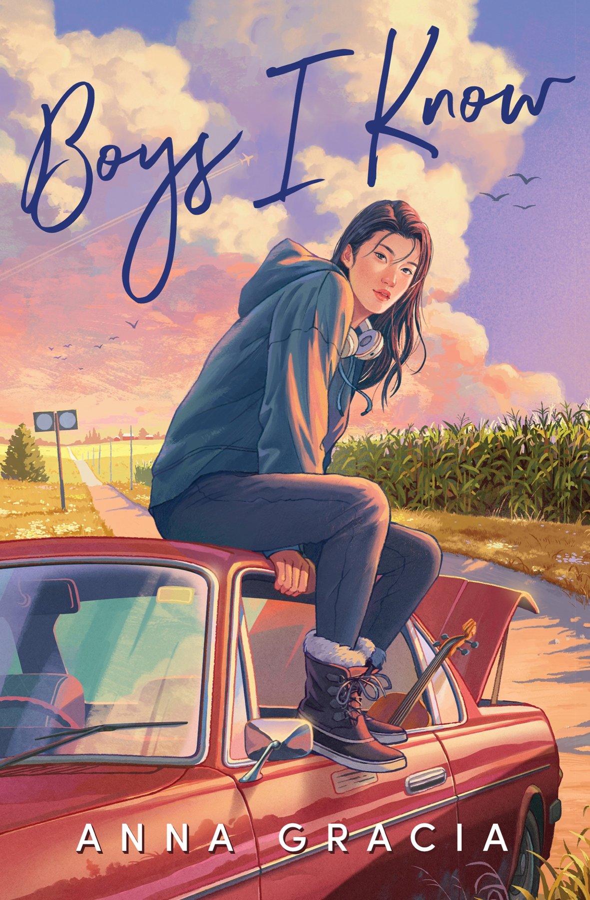 Cover of Boys I Know