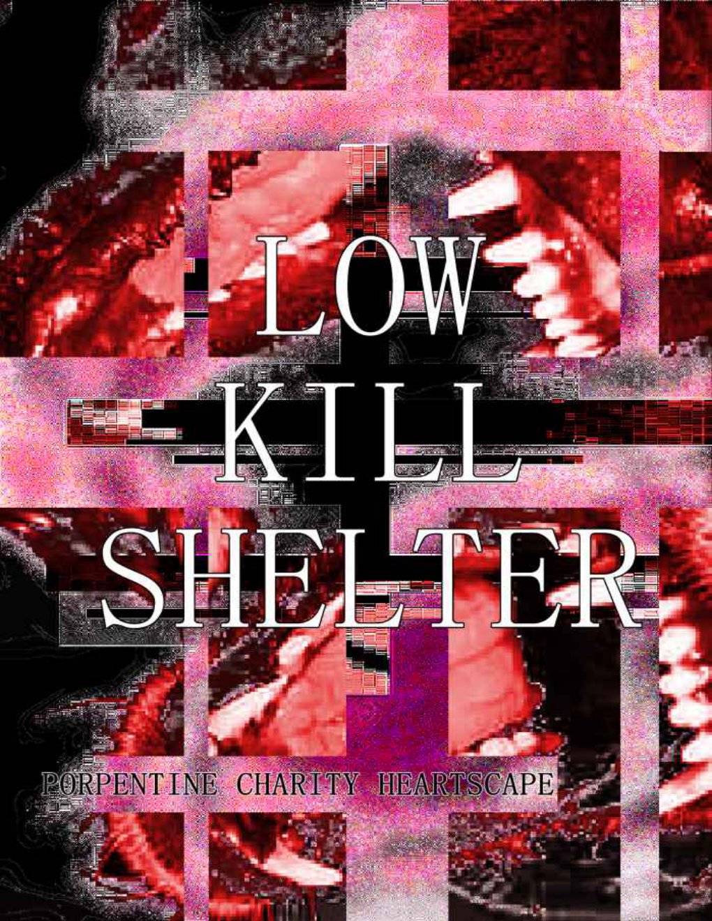 Cover of Low Kill Shelter
