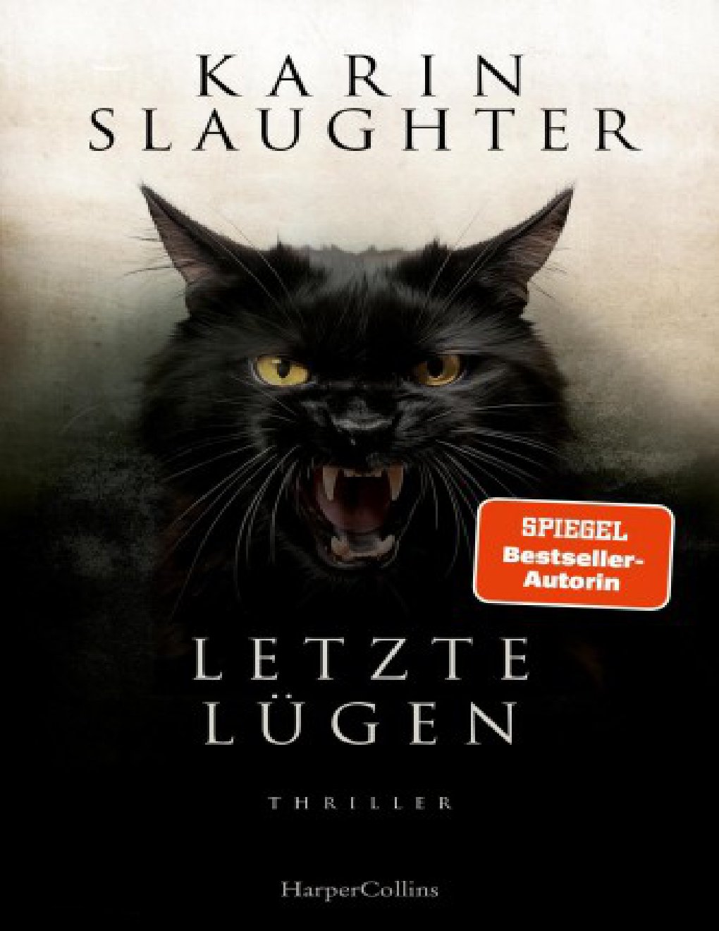 Cover of Letzte Lügen