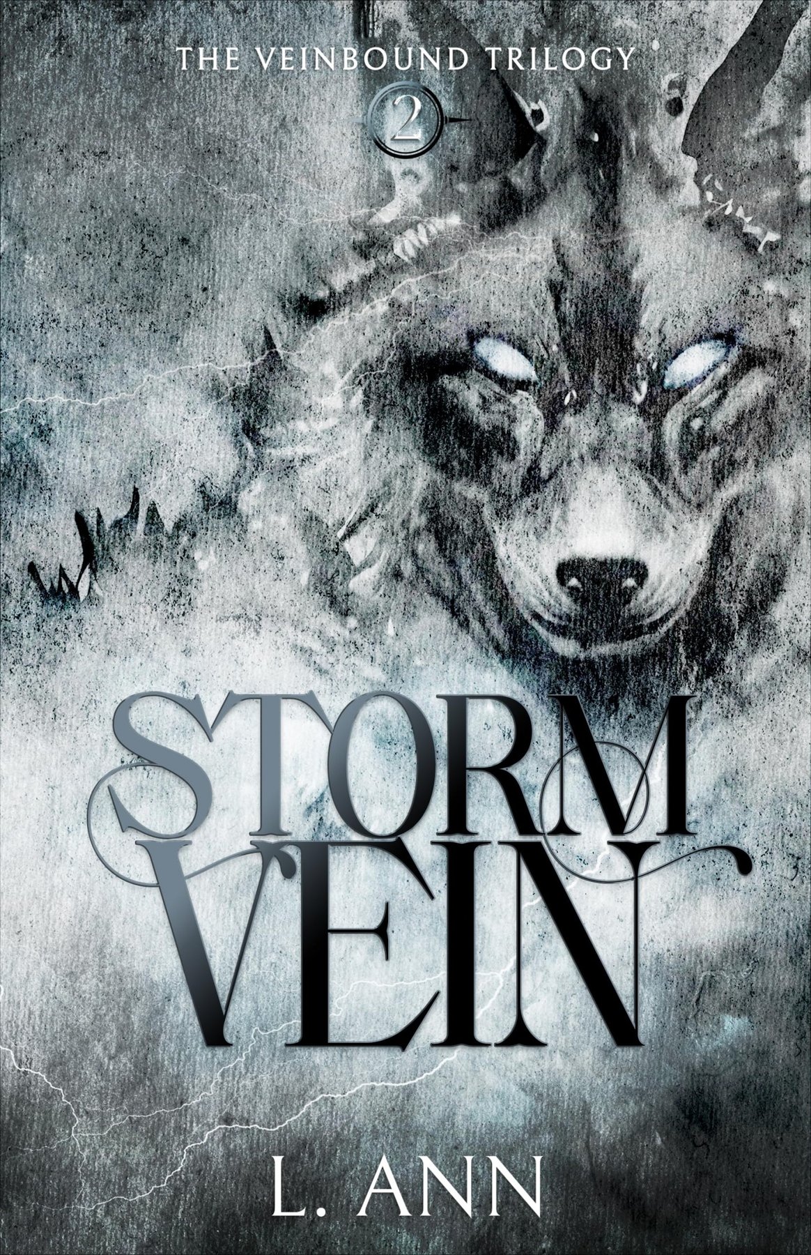 Cover of Stormvein