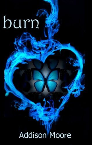 Cover of Burn