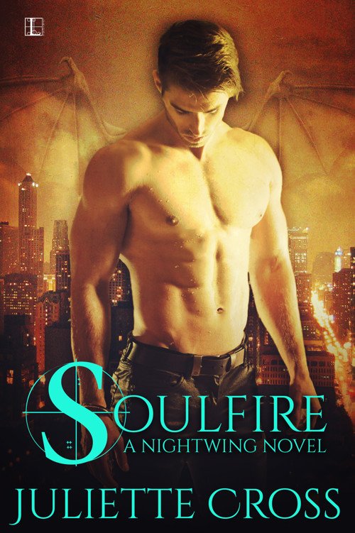 Cover of Soulfire