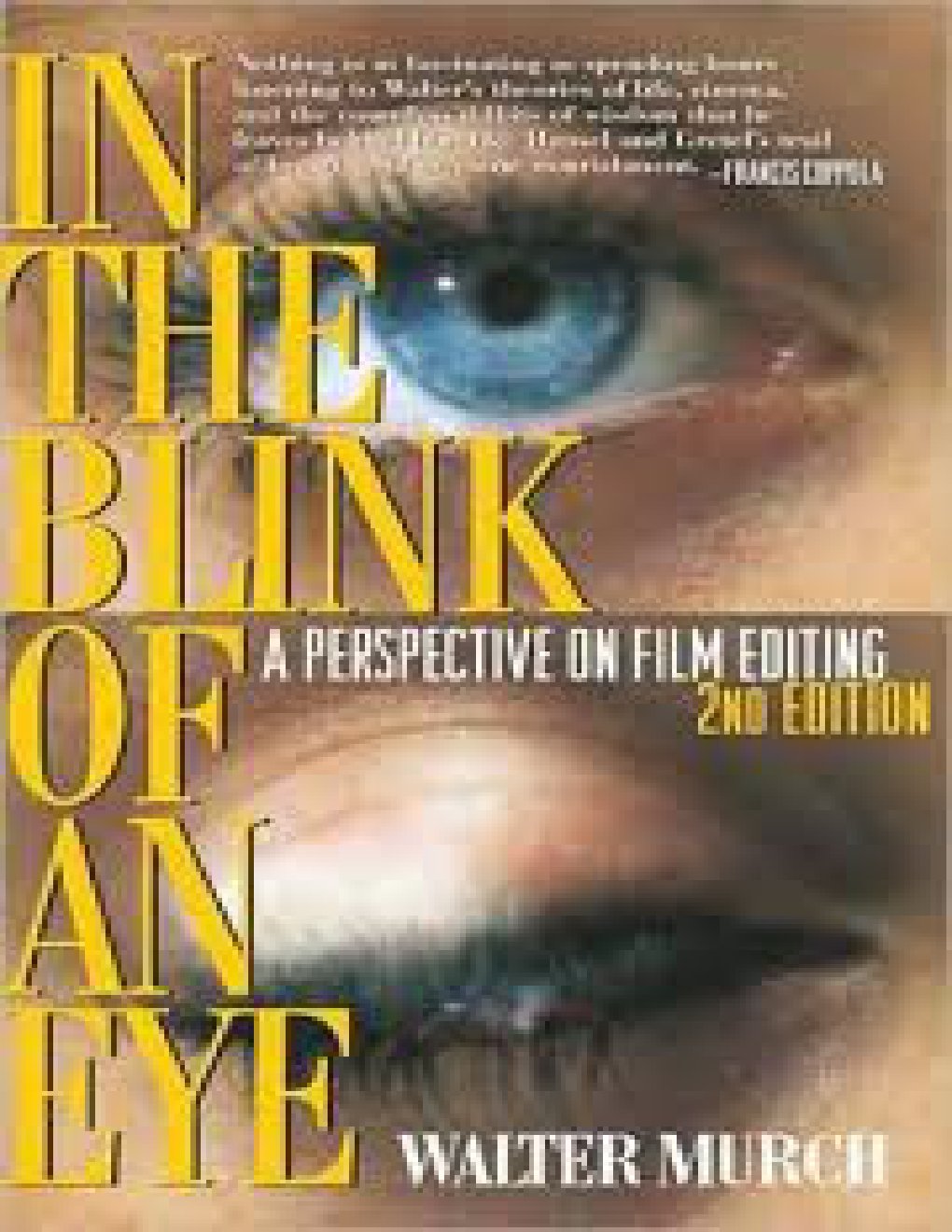 Cover of In the Blink of an Eye