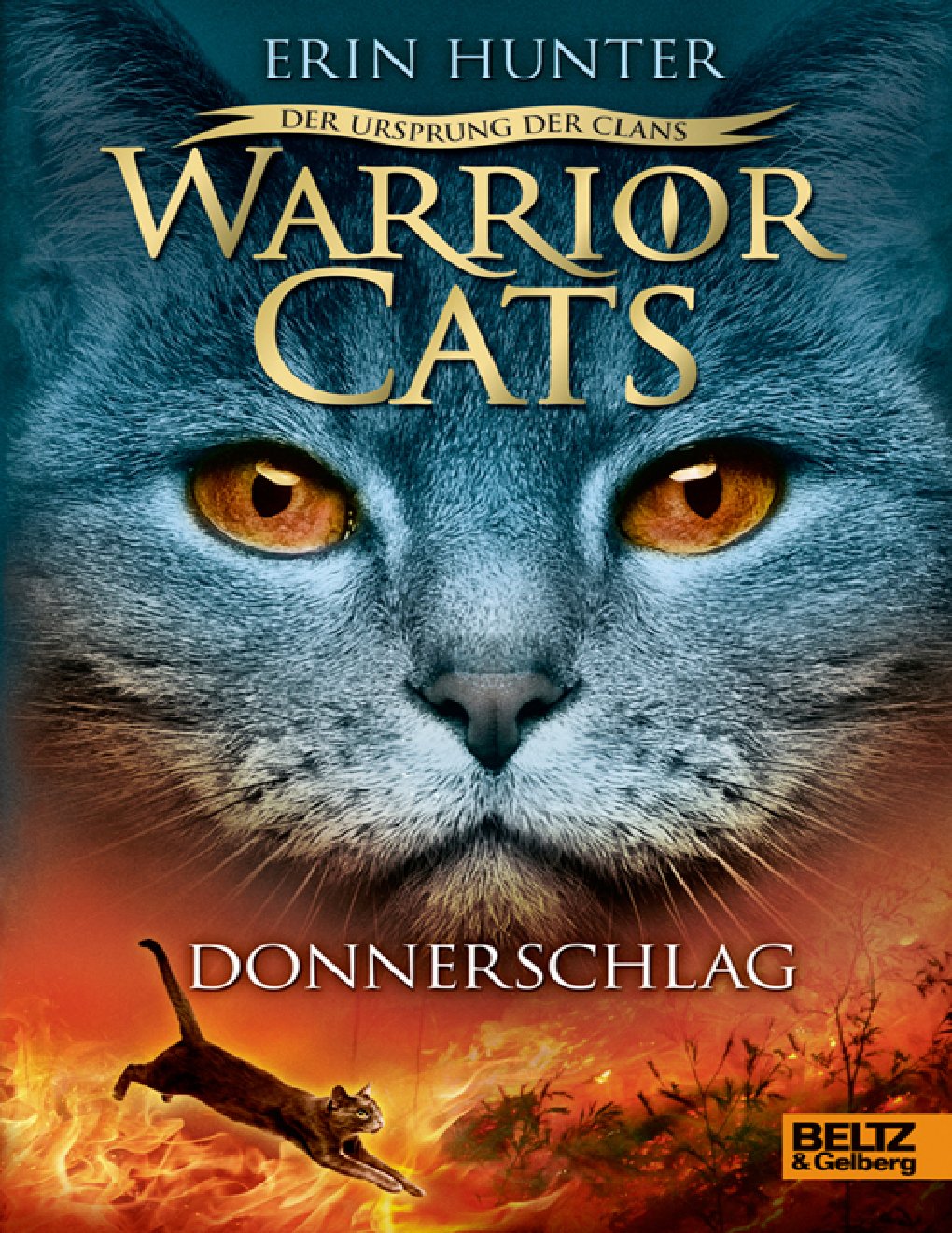 Cover of Donnerschlag