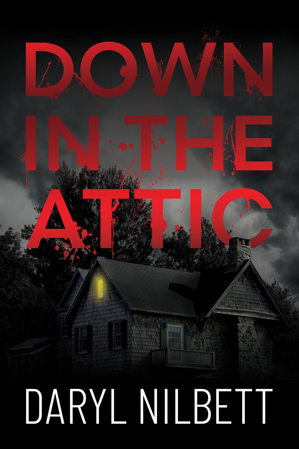 Cover of Down in the Attic