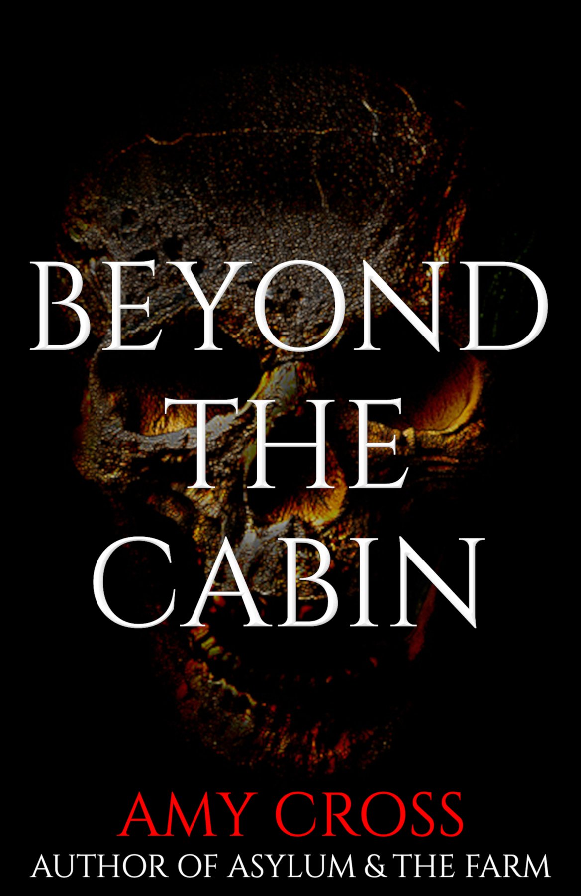Cover of Beyond the Cabin