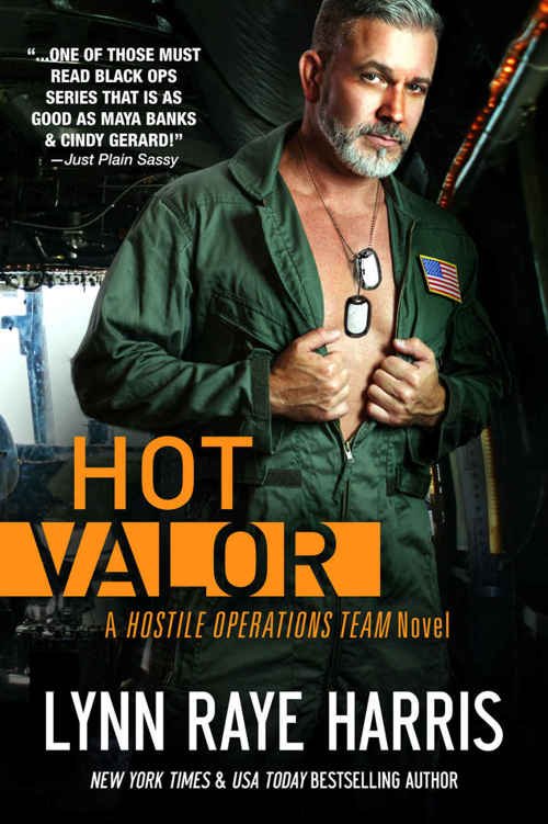 Cover of HOT Valor (Hostile Operations Team - Book 11)