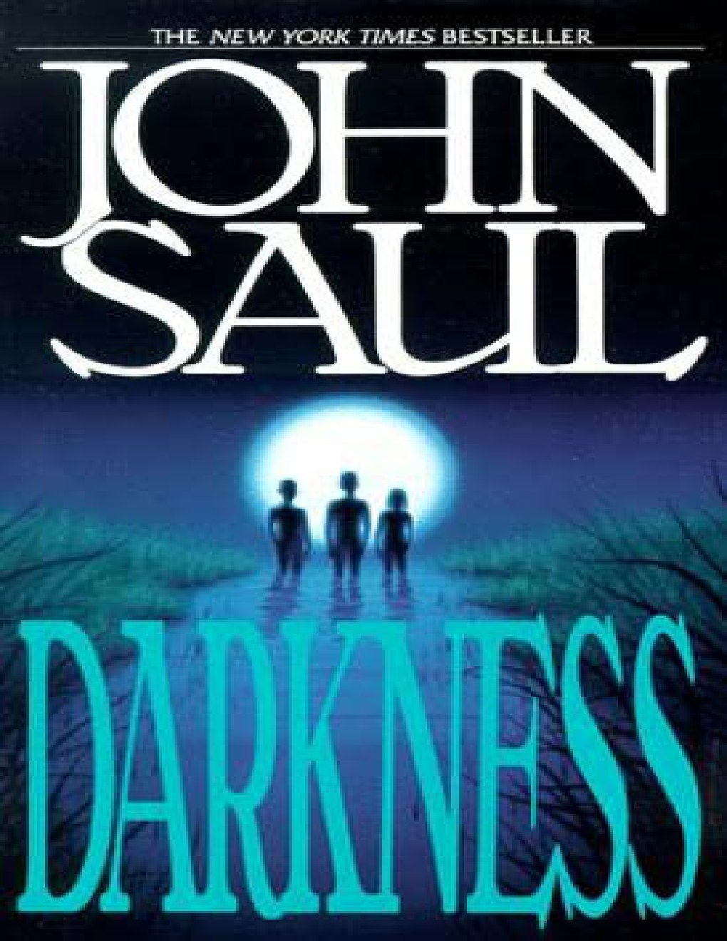 Cover of Darkness