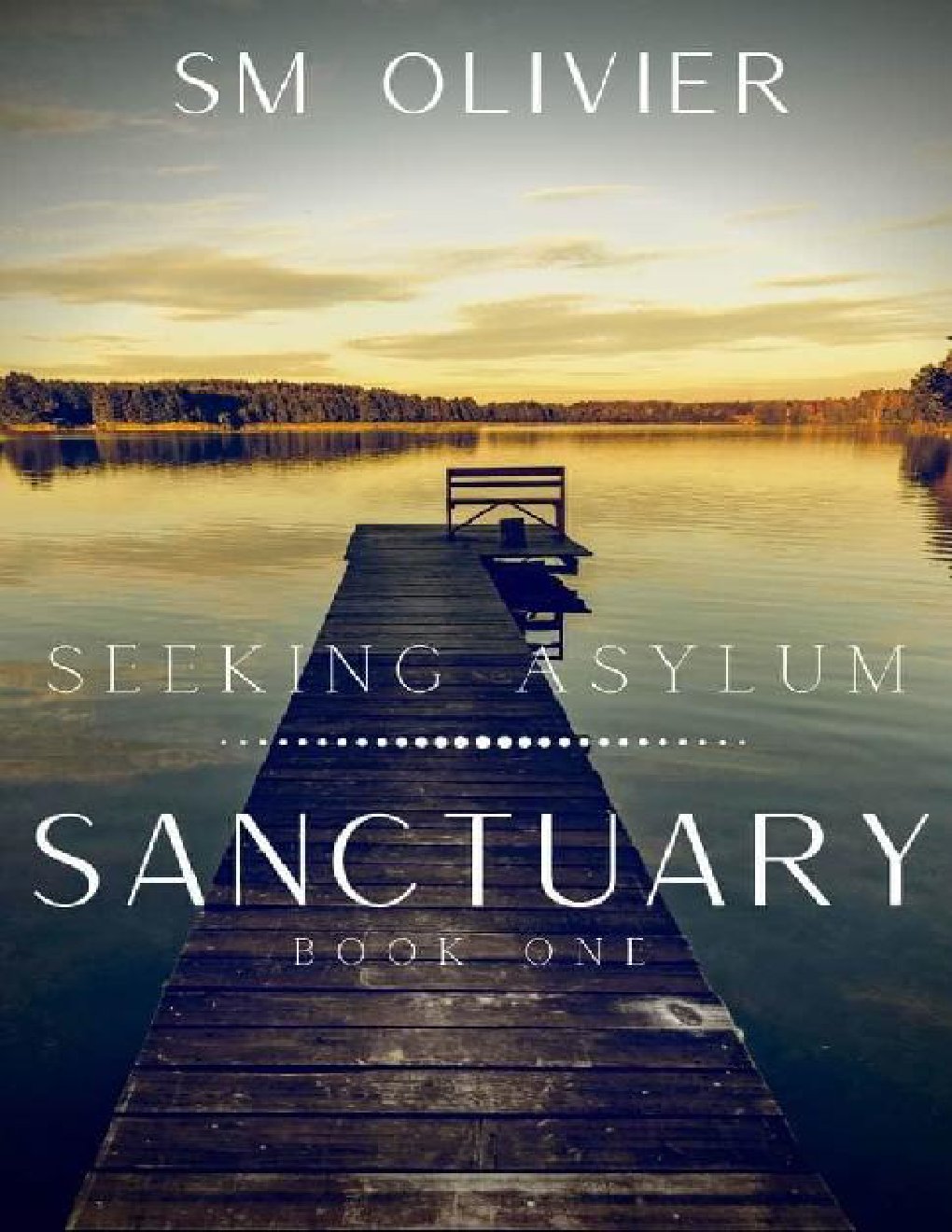 Cover of Sanctuary: Seeking Asylum Book 1
