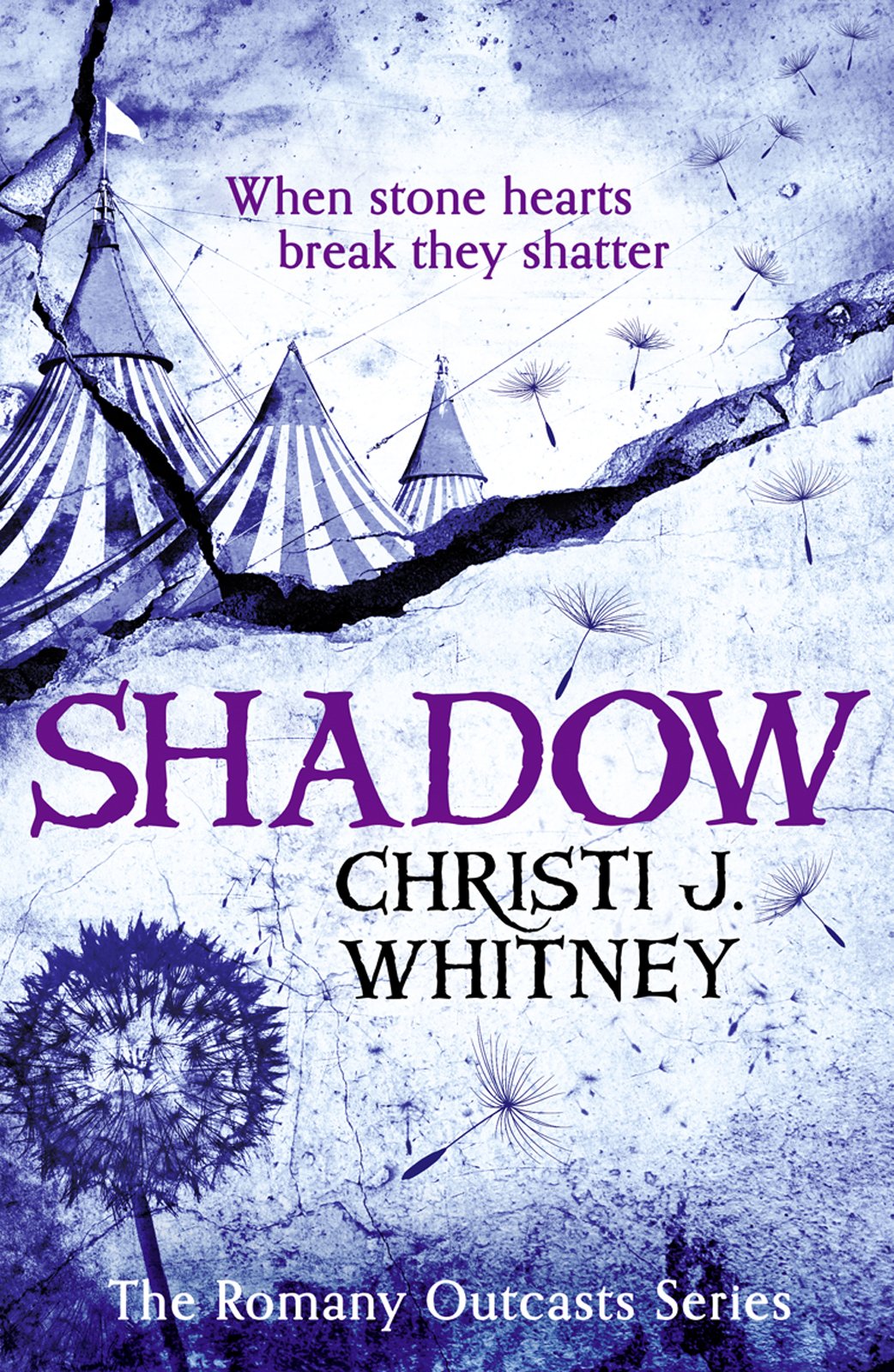 Cover of Shadow