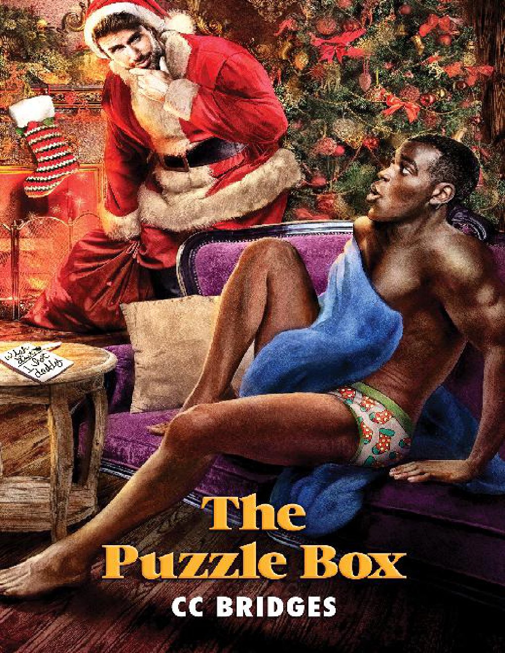 Cover of The Puzzle Box