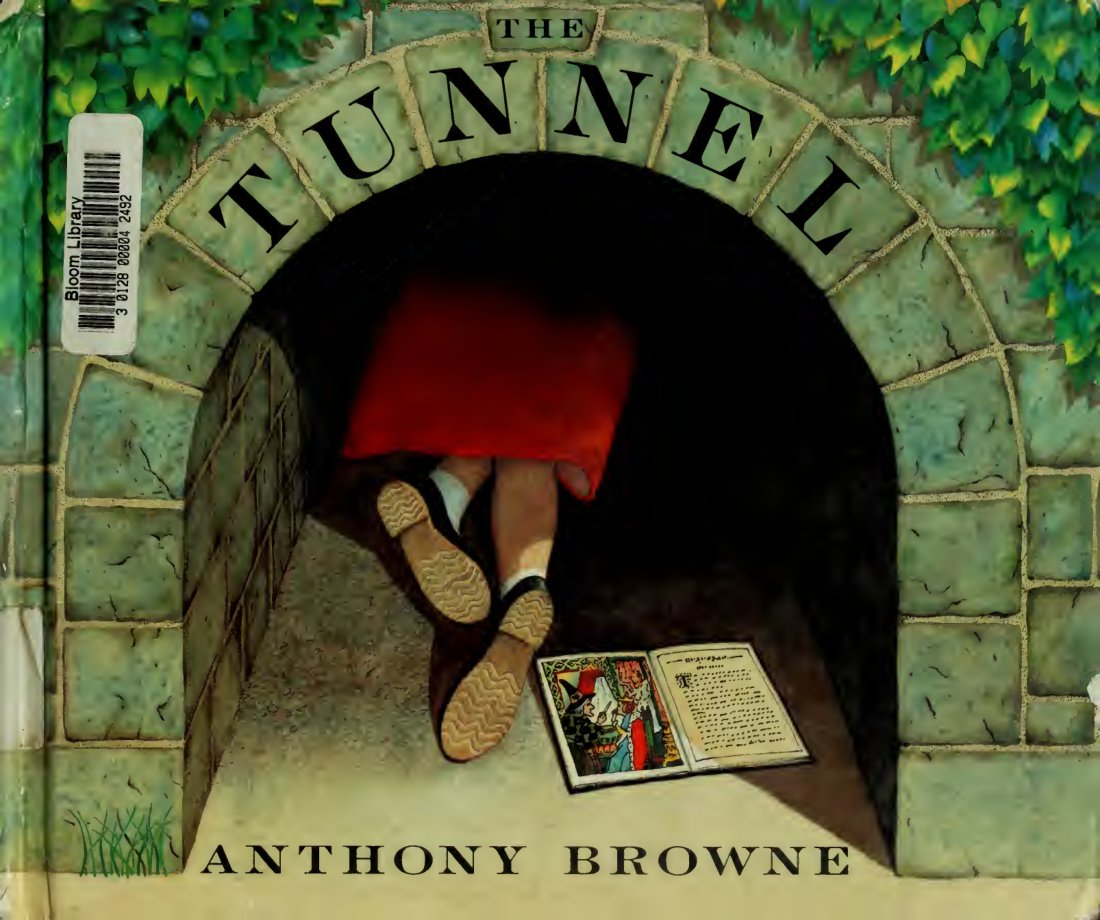 Cover of The tunnel