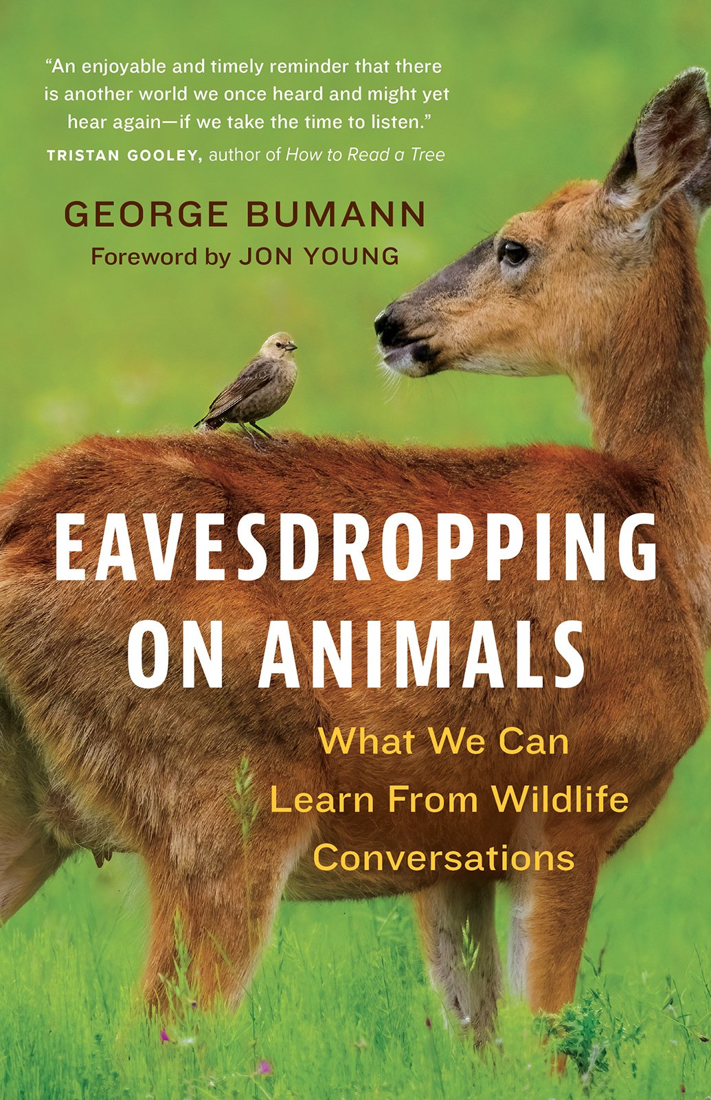 Cover of Eavesdropping on Animals (2024)
