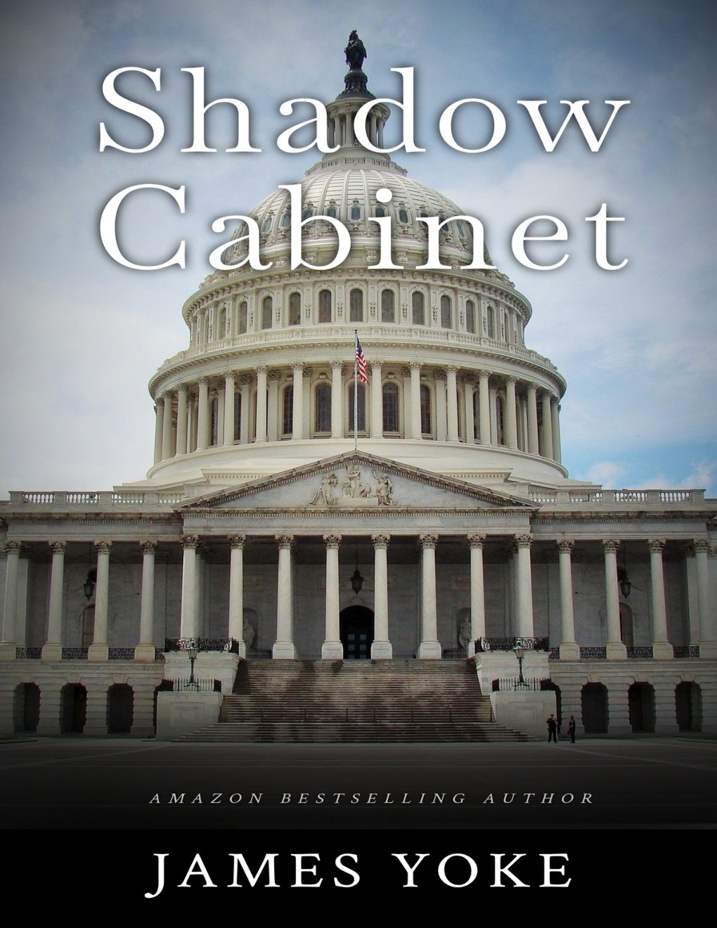 Cover of Shadow Cabinet
