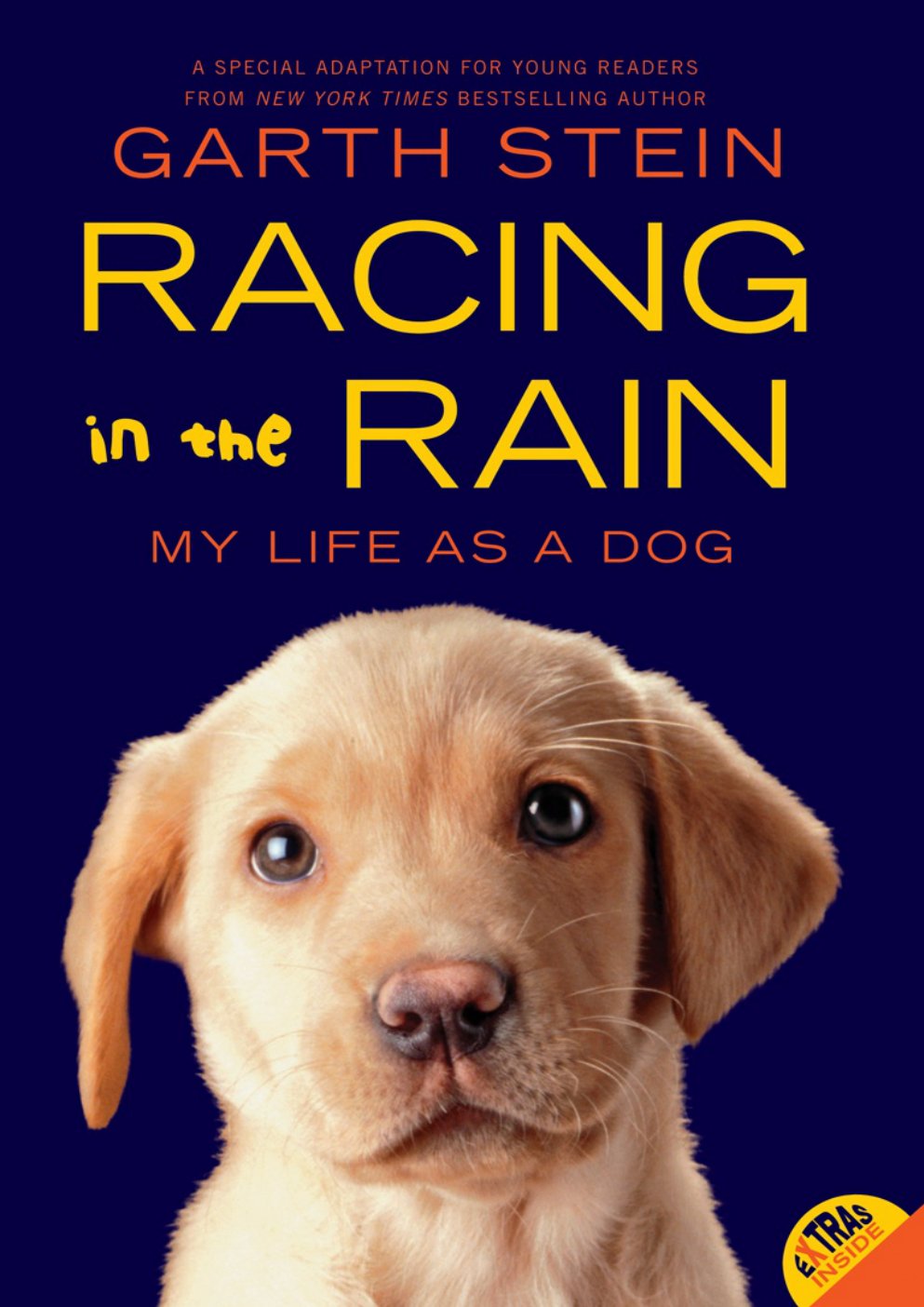 Cover of Racing in the Rain