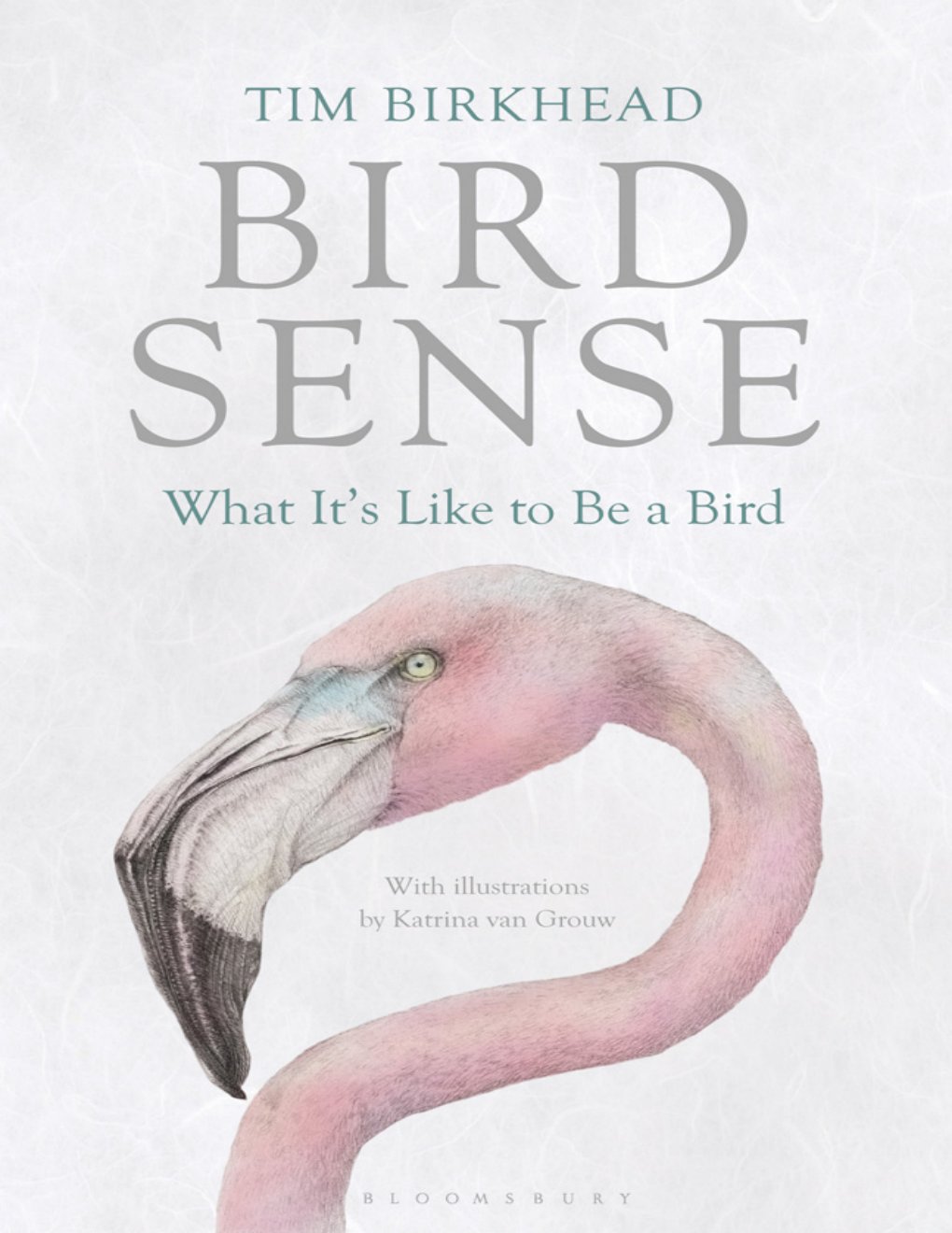 Cover of Bird Sense