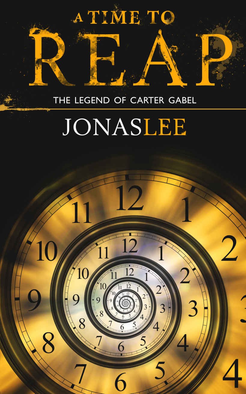 Cover of A Time to Reap (2014)