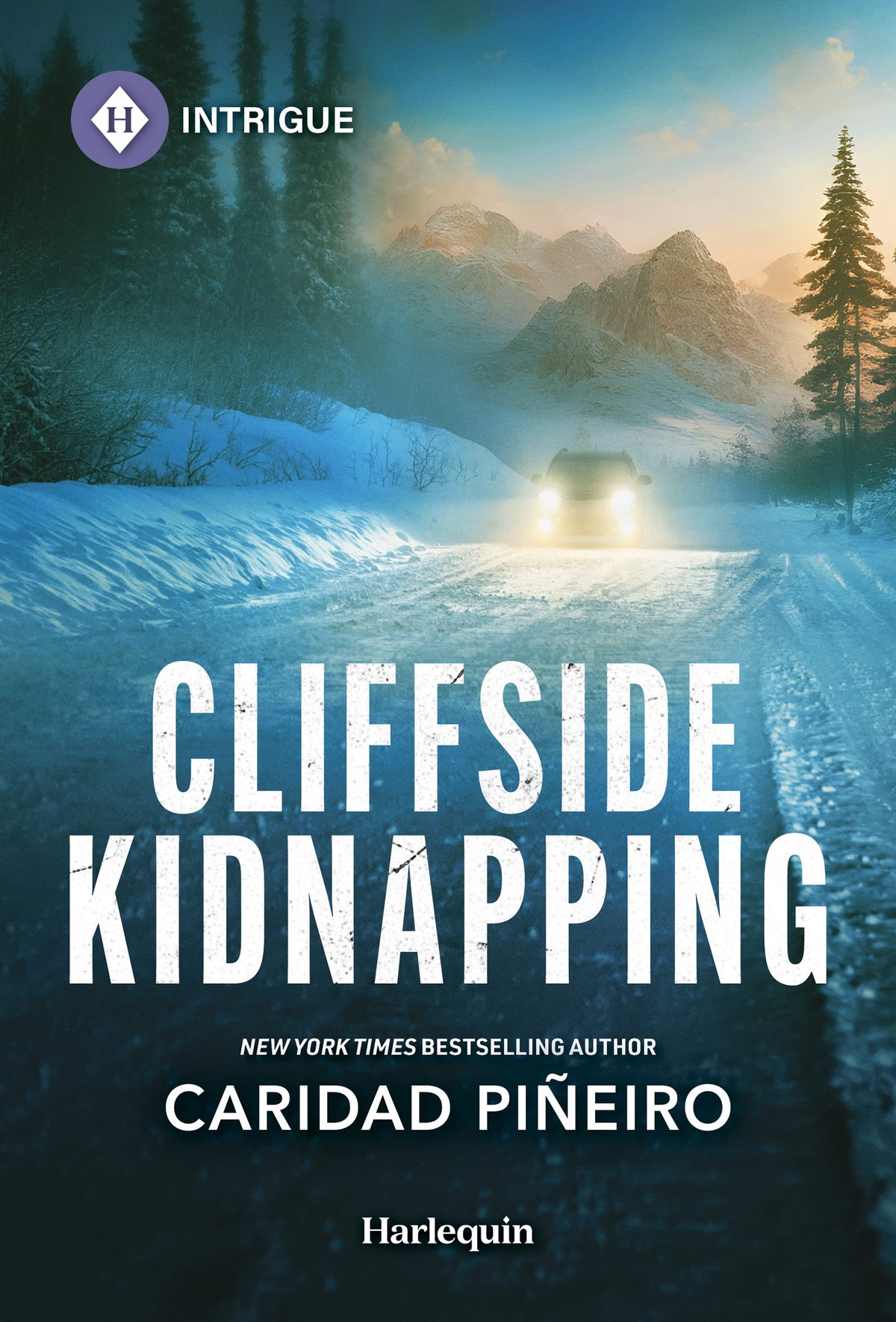 Cover of Cliffside Kidnapping