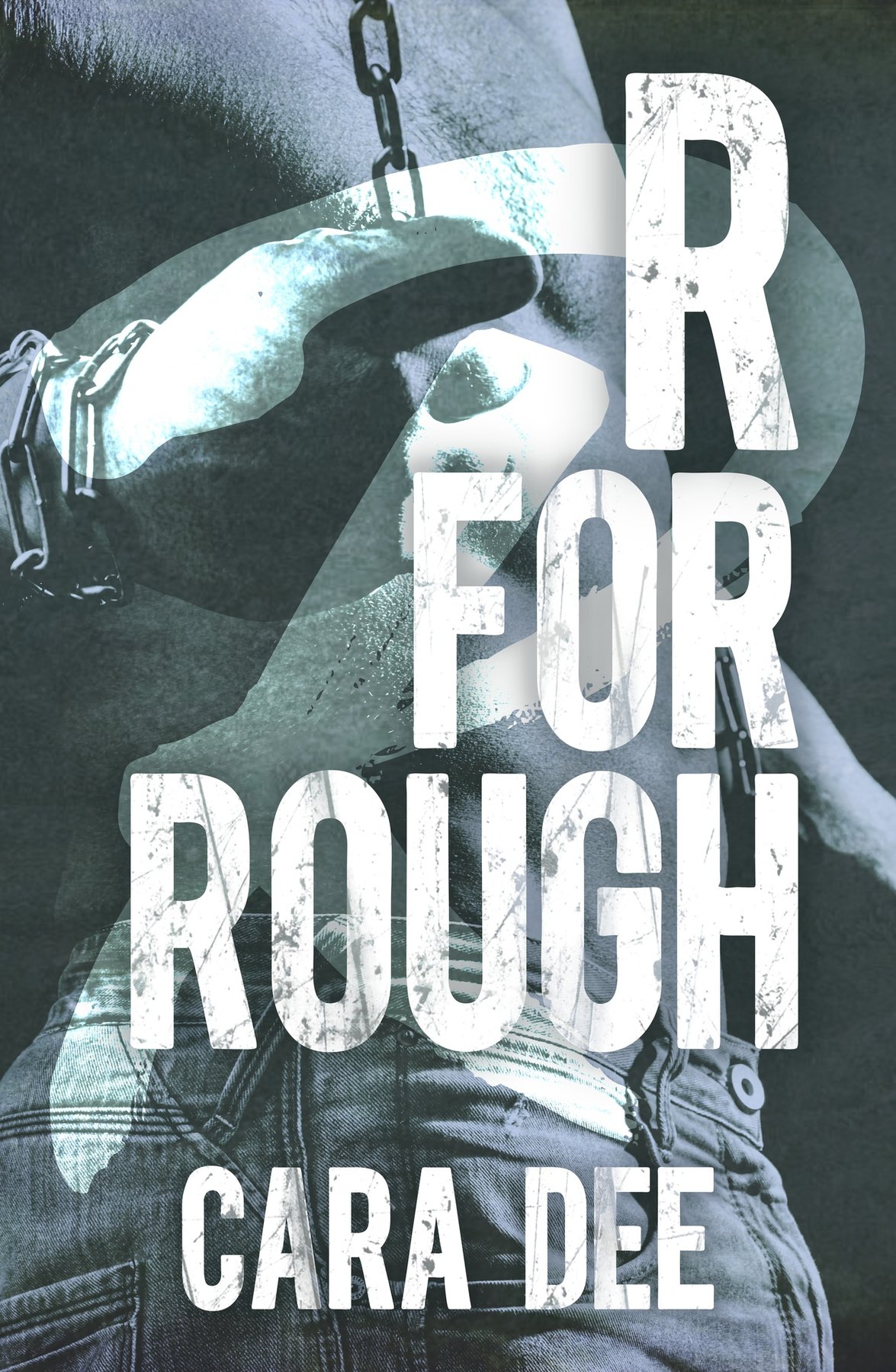 Cover of R for Rough
