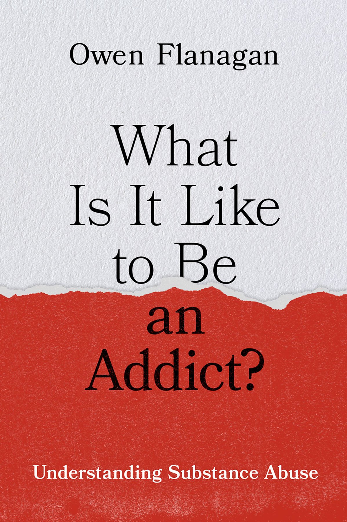 Cover of What Is It Like to Be an Addict?