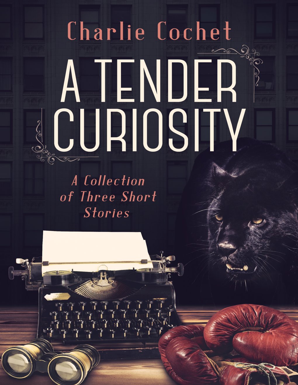 Cover of A Tender Curiosity (2012)