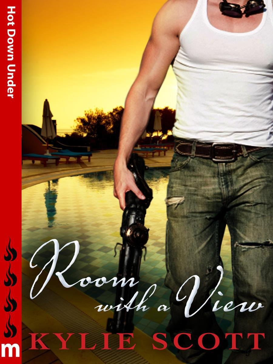 Cover of Room With a View: Hot Down Under