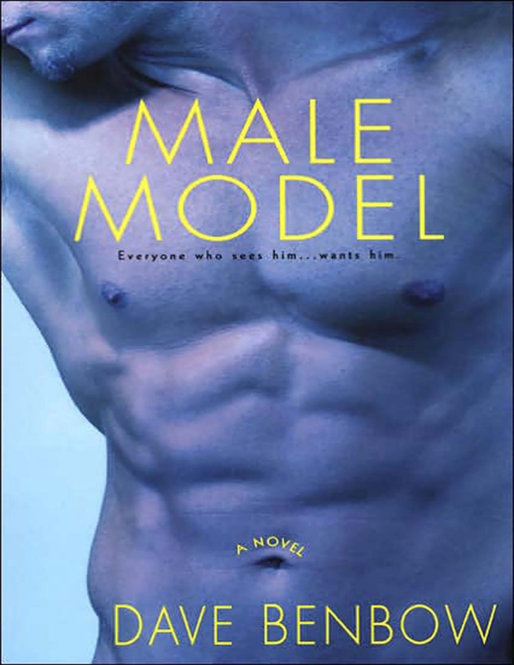 Cover of Male Model