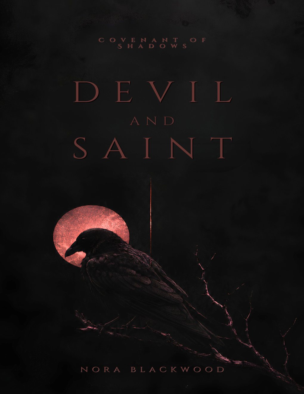 Cover of DEVIL AND SAINT
