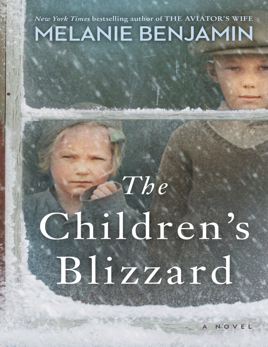 Cover of The Children's Blizzard: A Novel