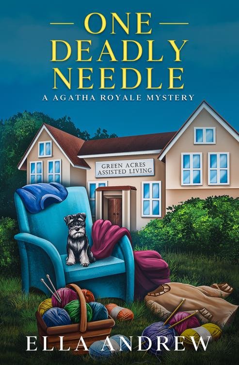 Cover of One Deadly Needle