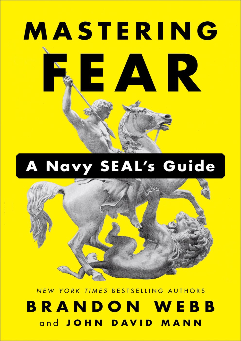 Cover of Mastering Fear