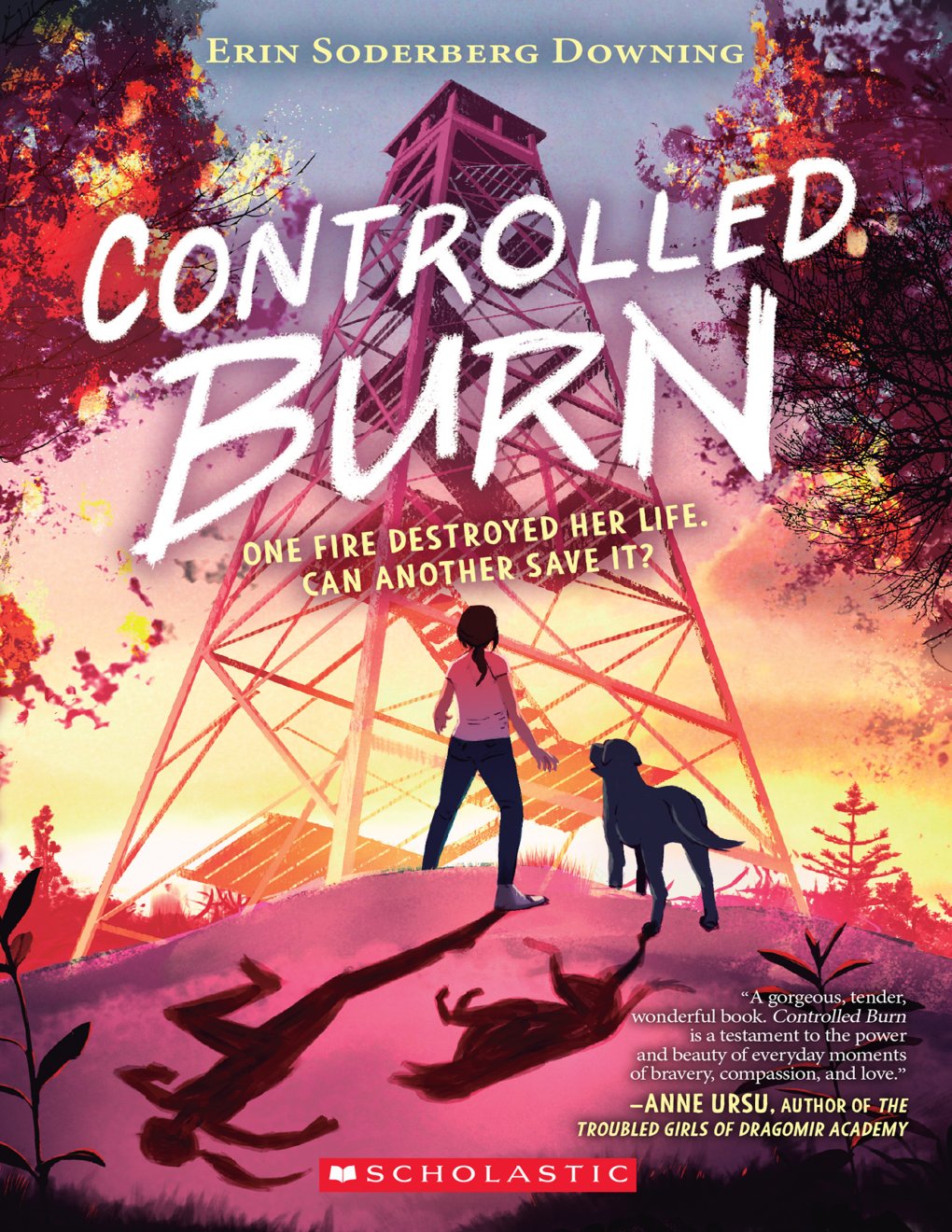 Cover of Controlled Burn