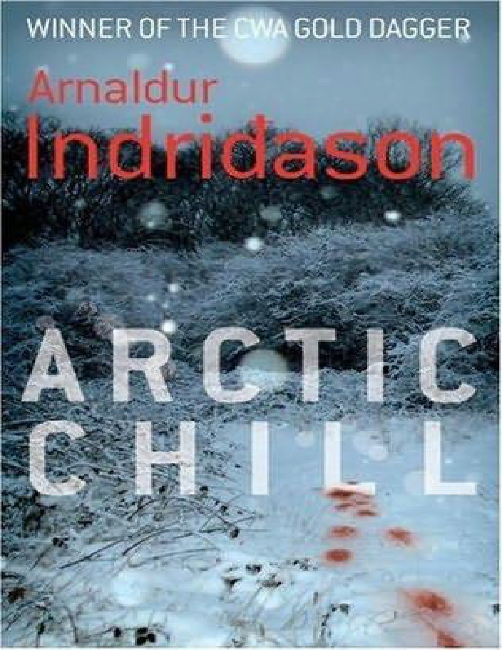 Cover of Arctic Chill