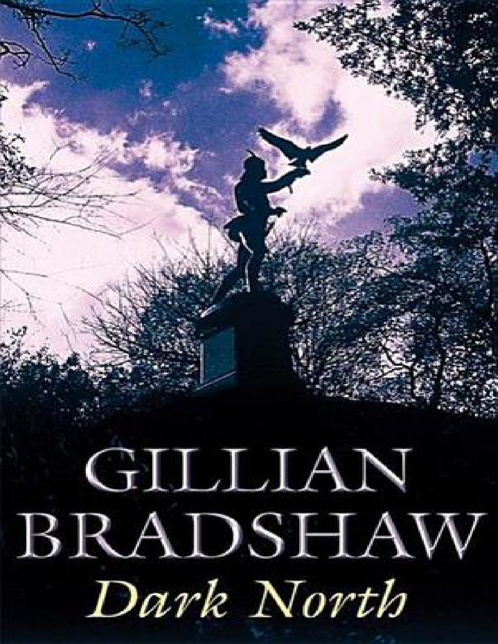 Cover of Dark North