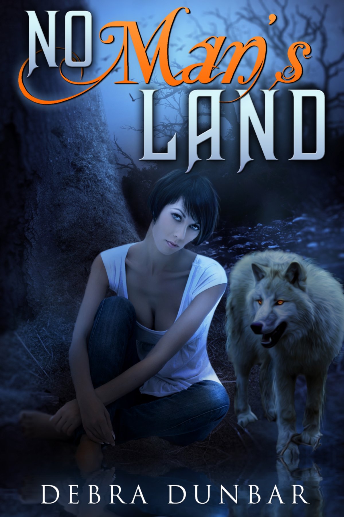 Cover of No Man's Land