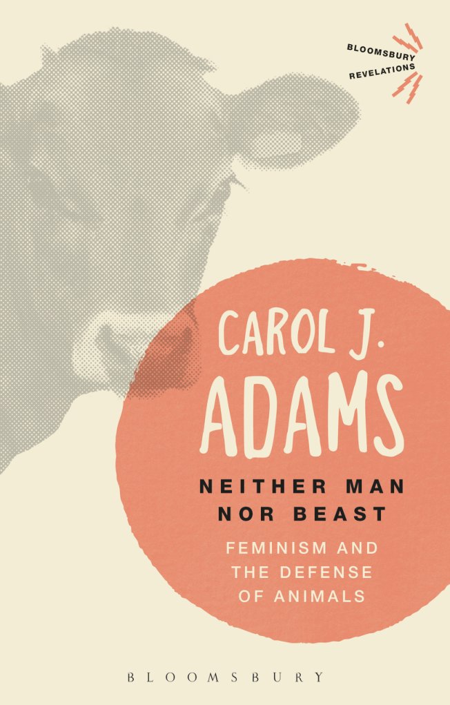 Cover of Neither Man (1995)
