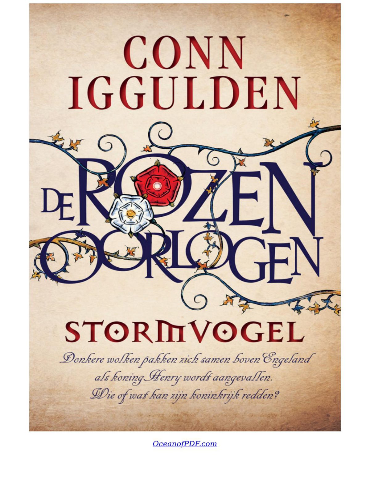 Cover of Stormvogel (2007)
