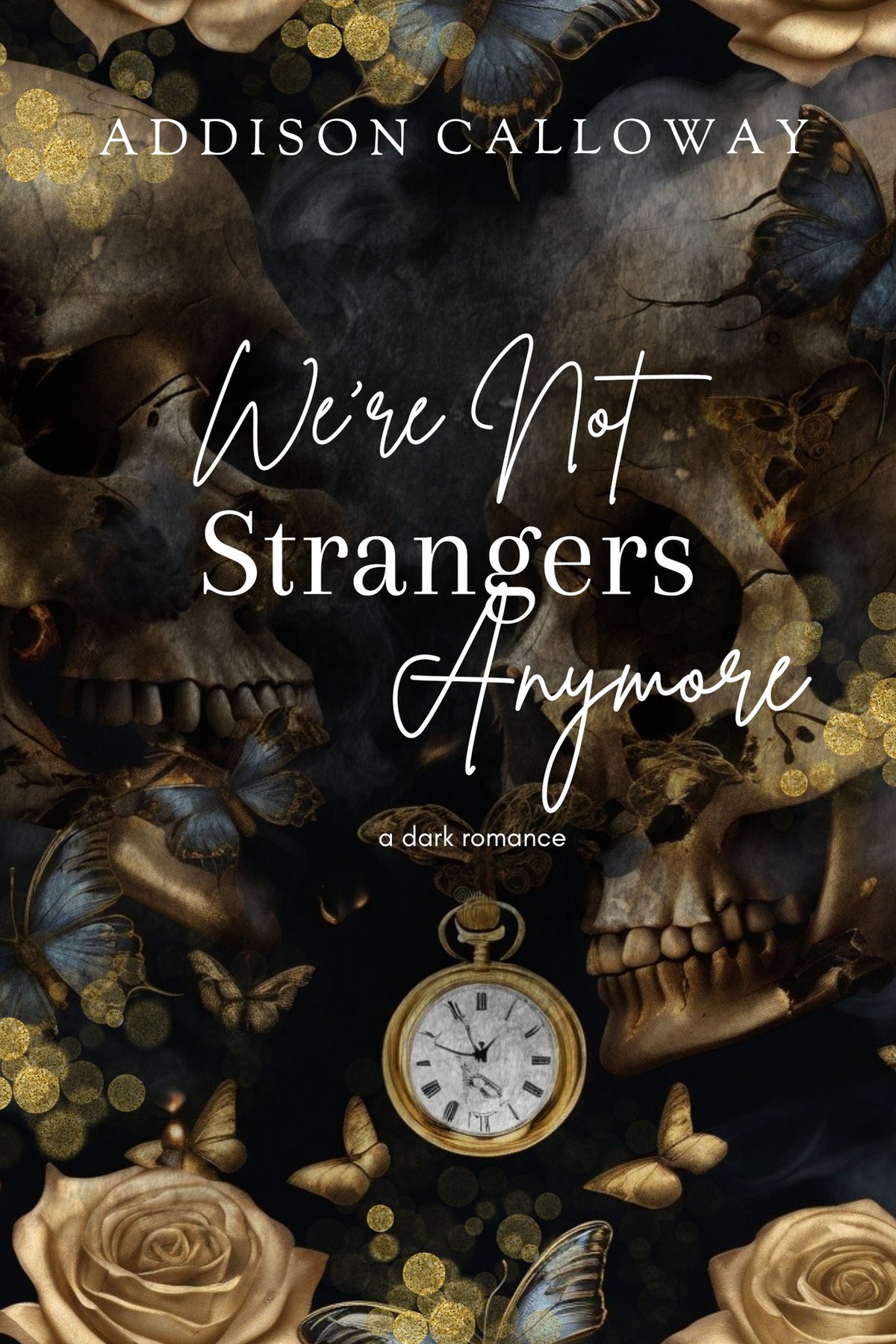 Cover of We’re Not Strangers Anymore