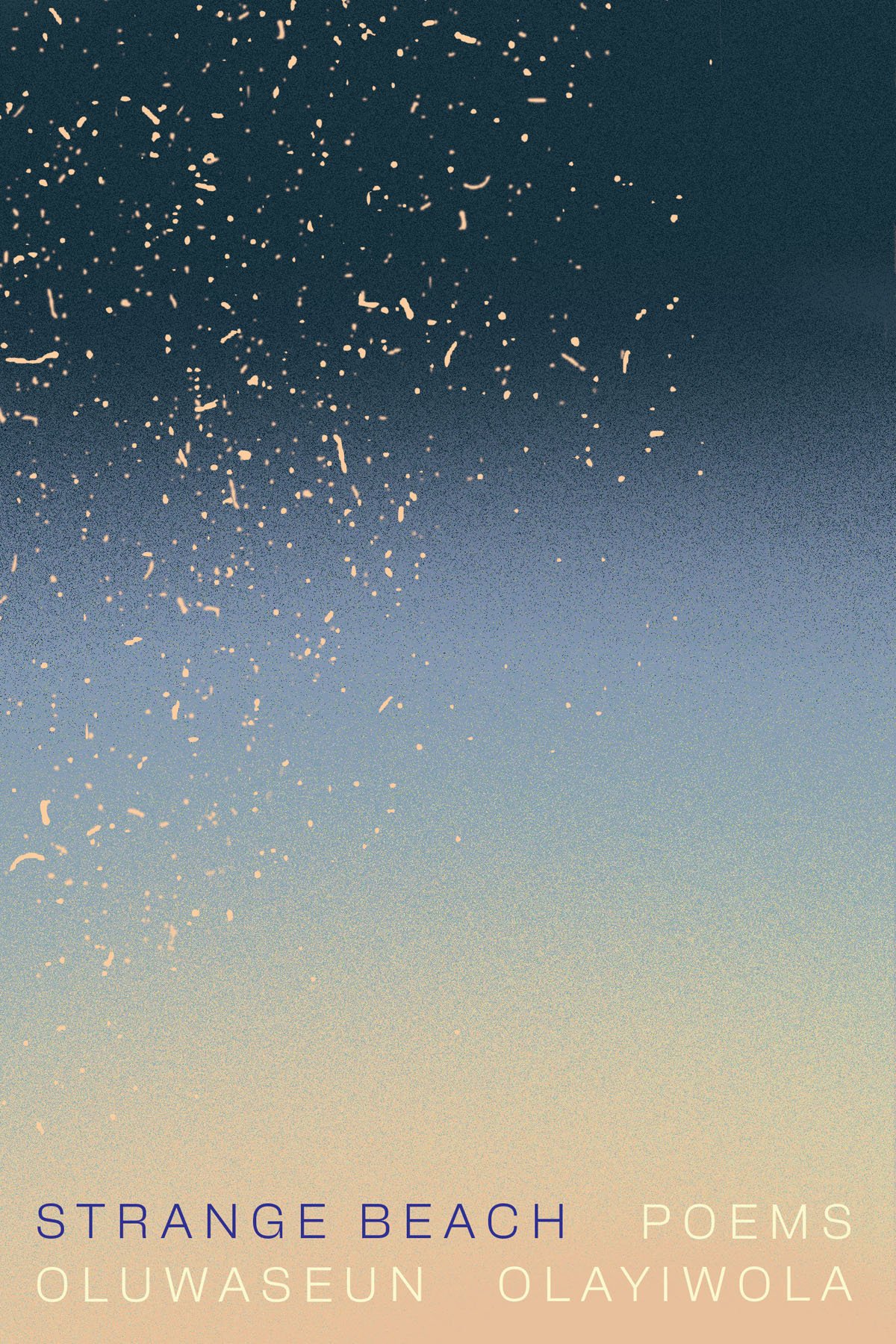 Cover of Strange Beach
