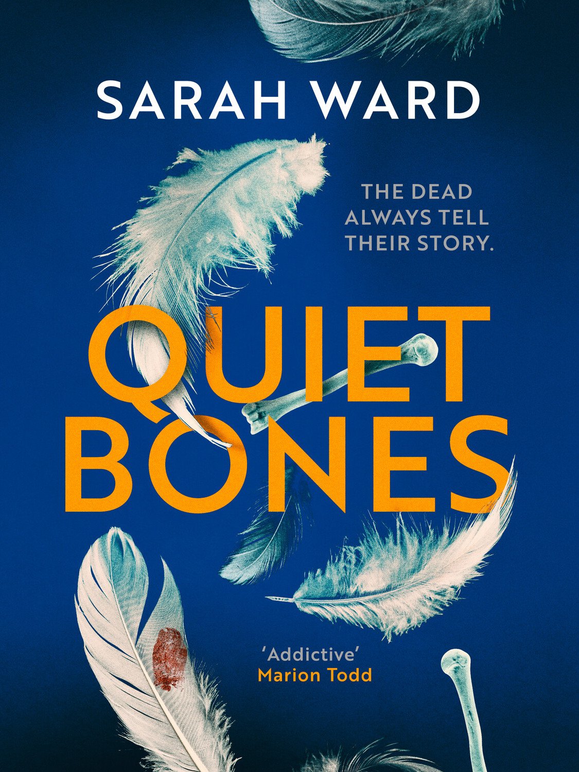 Cover of Quiet Bones
