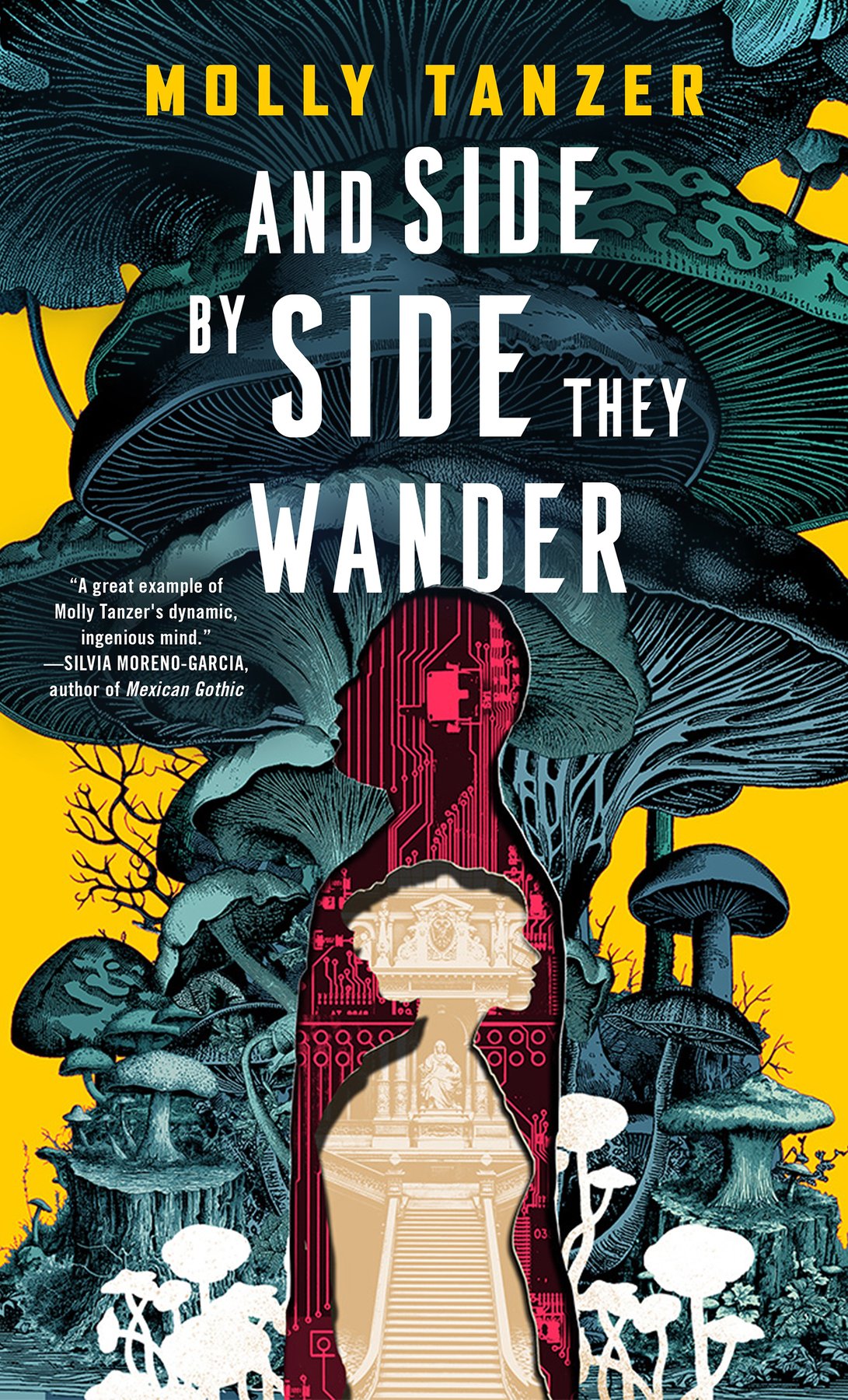 Cover of And Side by Side They Wander