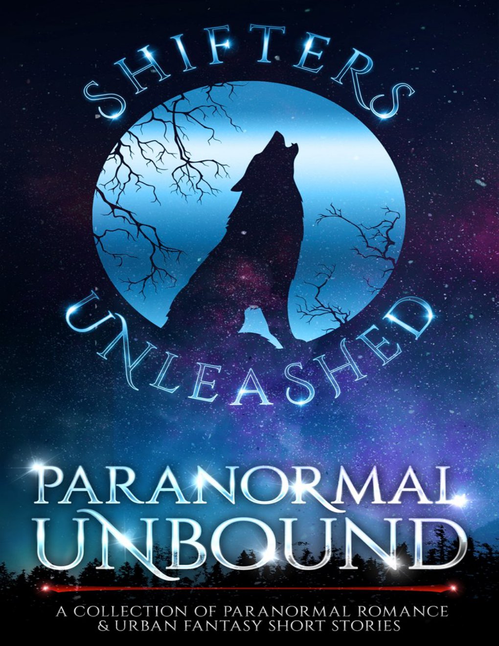 Cover of Paranormal Unbound- A Paranormal