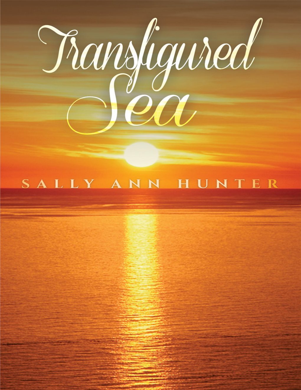 Cover of Transfigured Sea