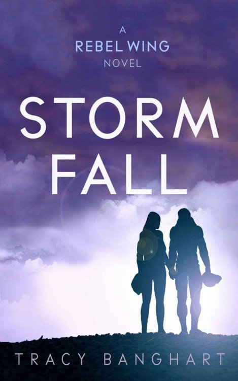 Cover of Storm Fall