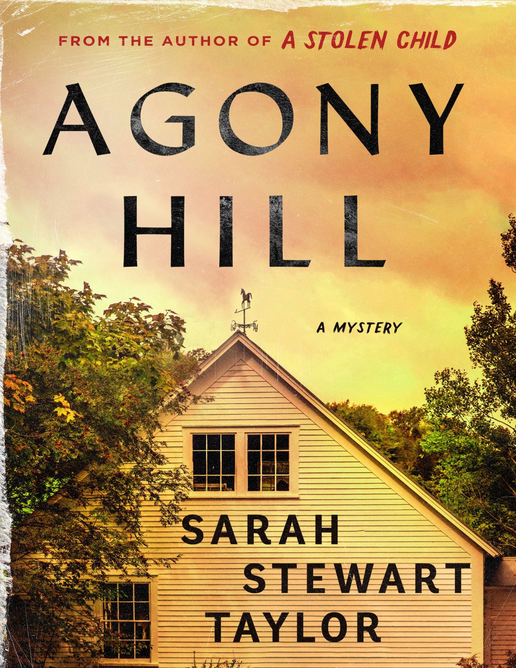 Cover of Agony Hill: A Mystery