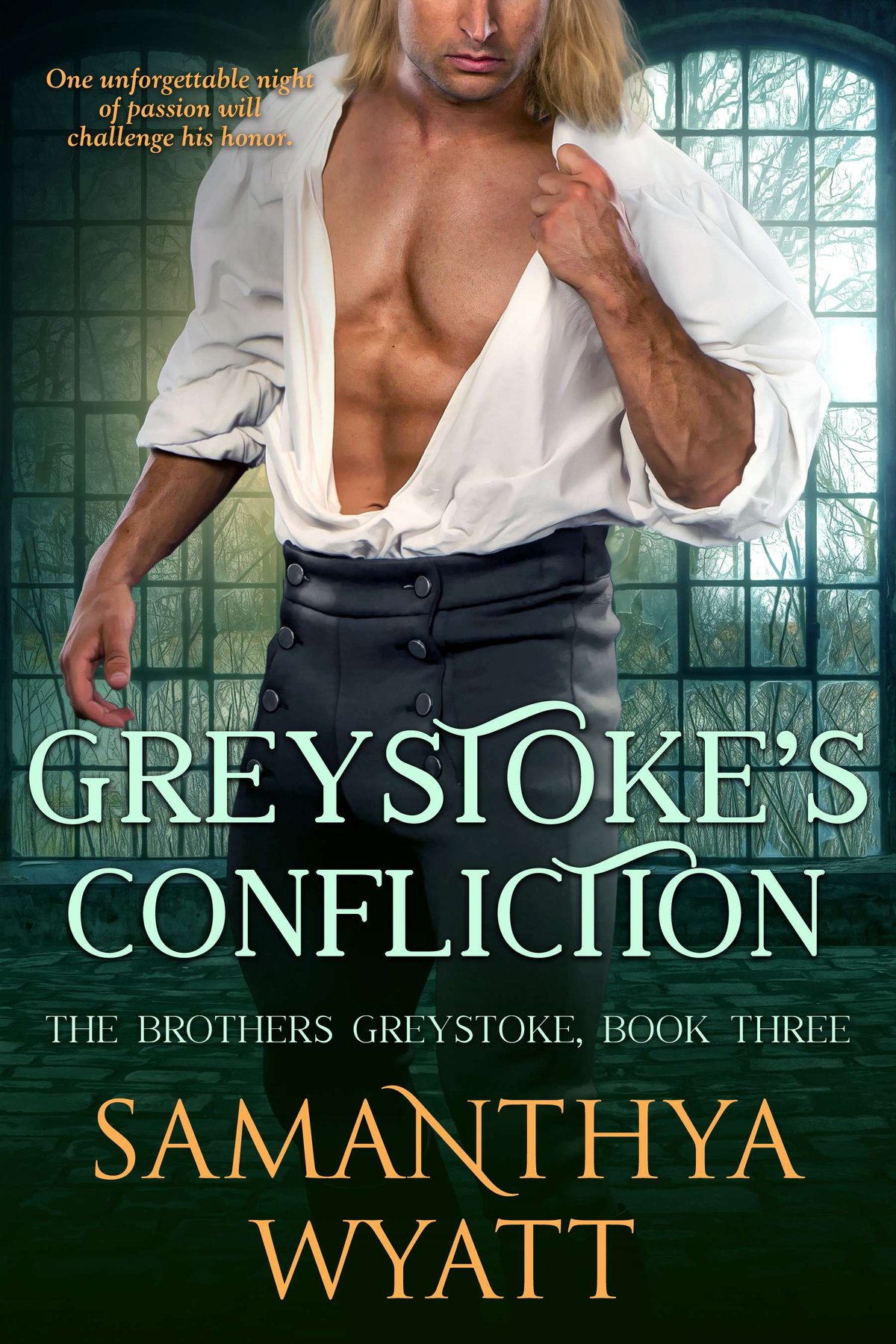 Cover of Greystoke's Confliction