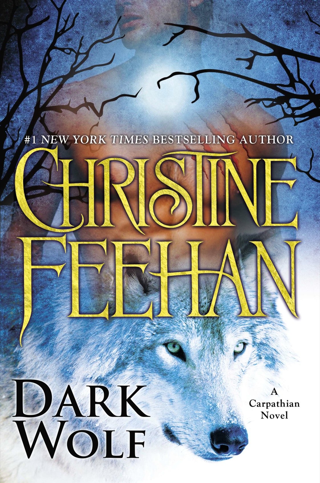 Cover of Dark Wolf (2014)